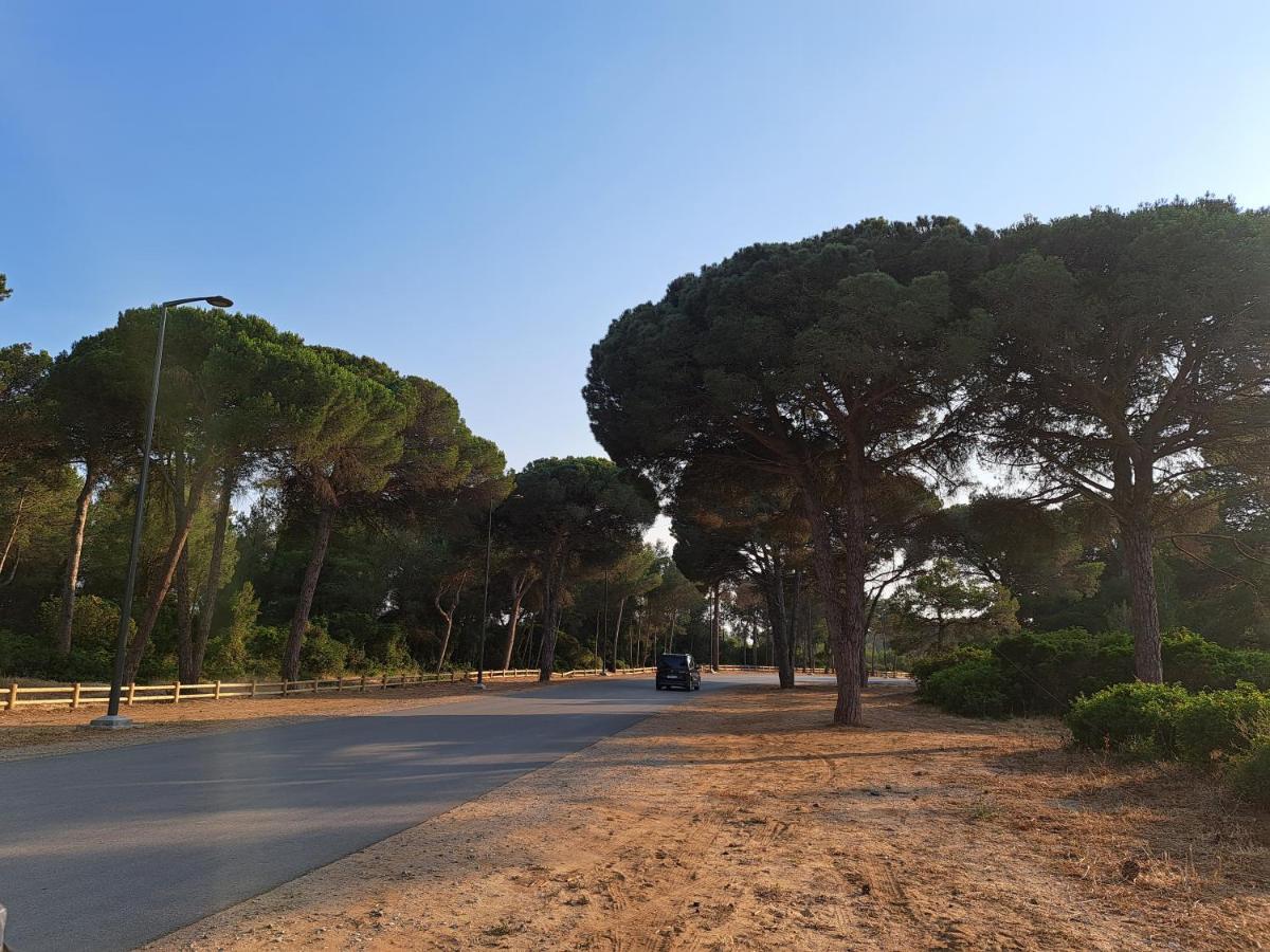 Cosy Appartement A 3Min De La Foret Et 5Min De La Plage Tanca Dış mekan fotoğraf